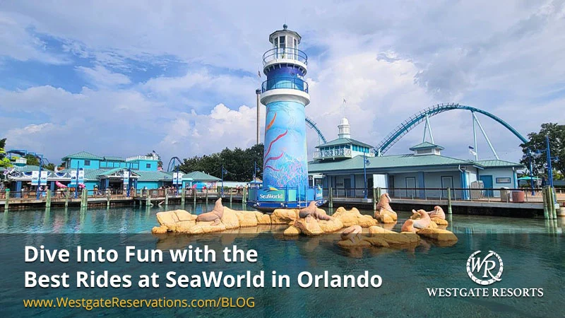 Dive Into Fun with the Best Rides at SeaWorld in Orlando (With Printable Guide)