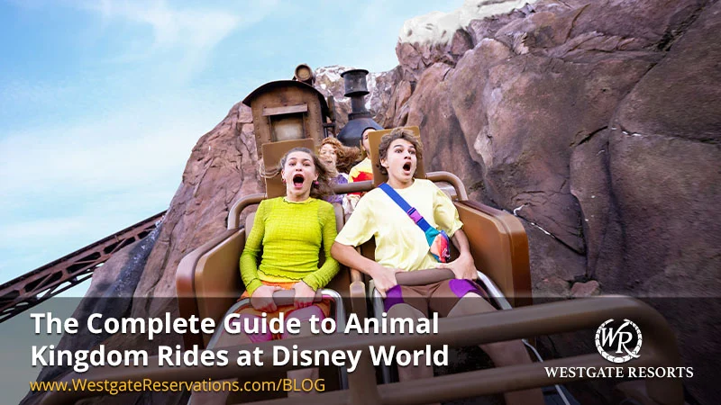 The Complete Guide to Animal Kingdom Rides at Disney World