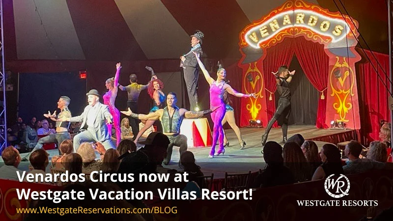 Venardos Circus at Westgate Vacation Villas Resort: An Honest Review