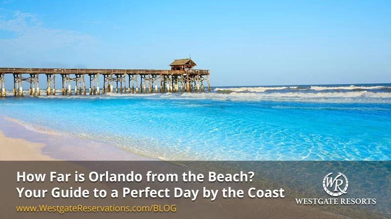 How Far is Orlando from the Beach? Your Guide to a Perfect Day by the Coast