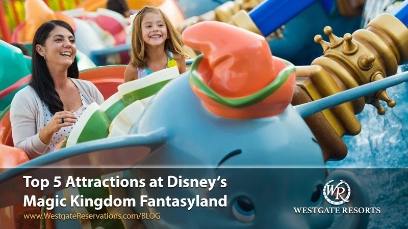 Top 5 Attractions in New Fantasyland at Disney's Magic Kingdom