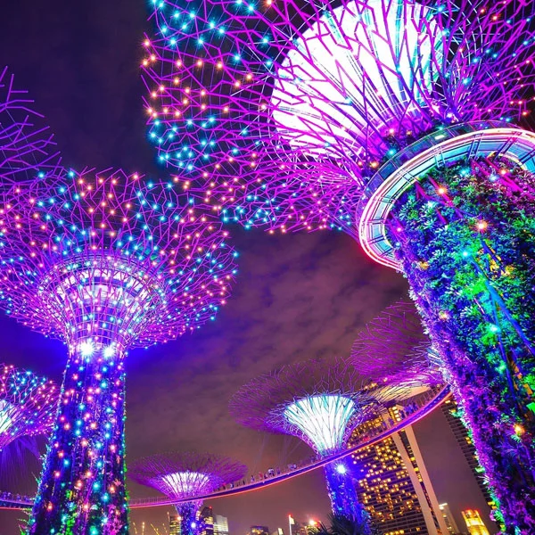 Glowing purple and blue light-covered tree sculptures against the night sky