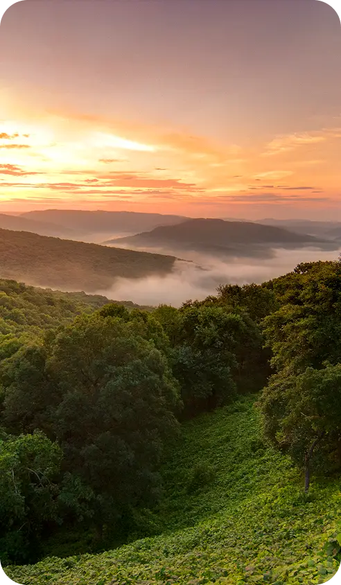 Sunset over mist-filled valleys and forested mountain ridges