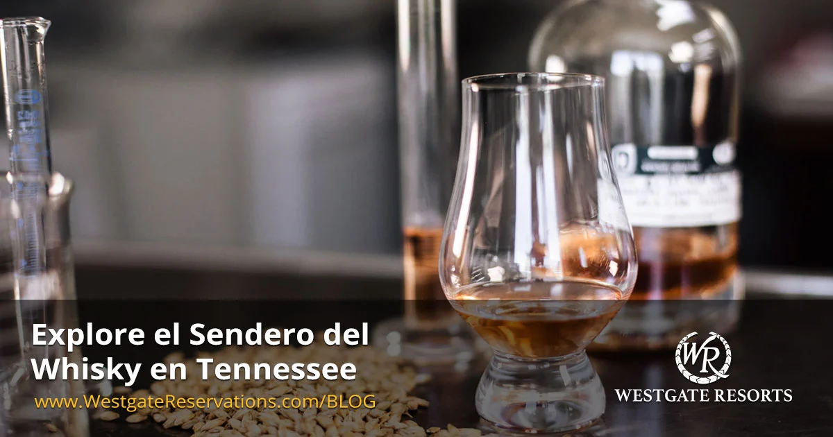 Explore el Sendero del Whisky en Tennessee