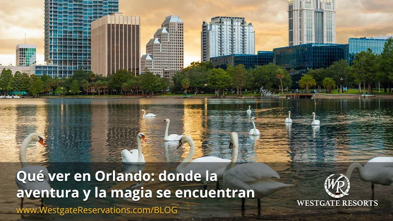 Qué ver en Orlando: una guía completa para descubrir la magia más allá de los parques